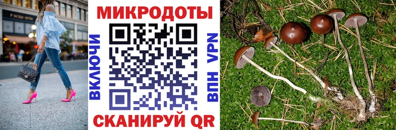 Галлюциногенные грибы ЛСД  hydra ТОР  Амурск  купить  сайты 
